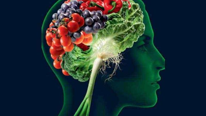 Top những thực phẩm hỗ trợ phát triển não bộ bạn không nên bỏ qua