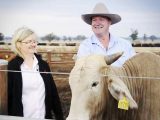 Ngành chăn nuôi ở Australia đối mặt với hàng loạt khó khăn